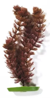 Marina Foxtail 37,5m