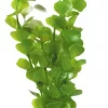 Marina Moneywort 20cm