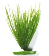 Marina Hairgrass 20cm