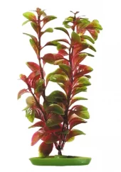 Marina Red Ludwigia 20cm