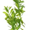 Marina Hygrophila 20cm