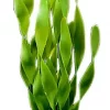 Marina Jungle Vallisneria 20cm