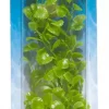 Marina Cardamine 20cm