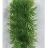 Marina Hornwort 10cm m/Sugekopp