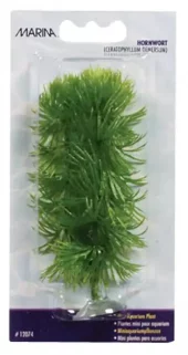 Marina Hornwort 10cm m/Sugekopp