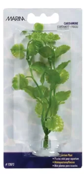 Marina Cardamine 10cm m/Sugekopp