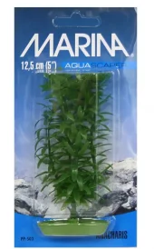 Marina Anacharis 13cm