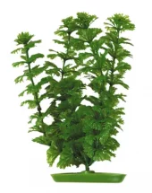 Marina Ambulia 13cm