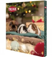 Julekalender Gnager
