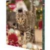 Julekalender Katt