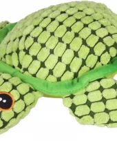Hundeleke "Ceano" Turtle grønn. 25,5x24x7,2cm