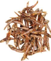 gallery-553-for-5400585269345