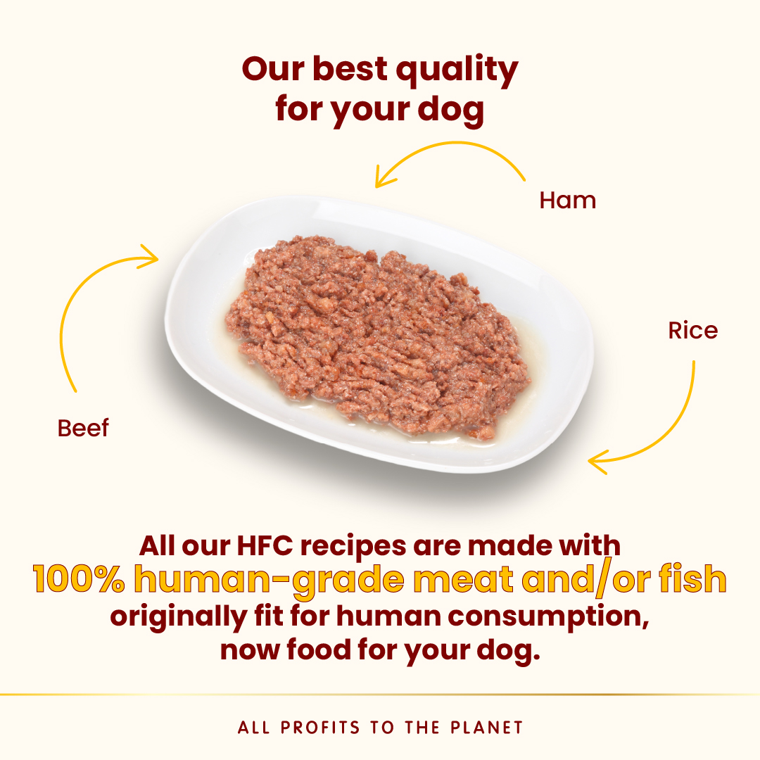 gallery-577-for-8001154124255