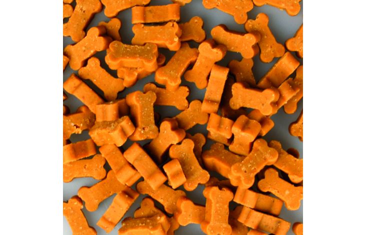 gallery-588-for-5415245082301