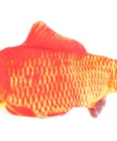 Katteleke bevegelig fisk orange 29cm