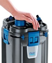 gallery-219-for-4010052946849