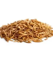 gallery-599-for-4018761155286