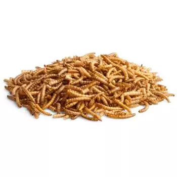 gallery-599-for-4018761155286