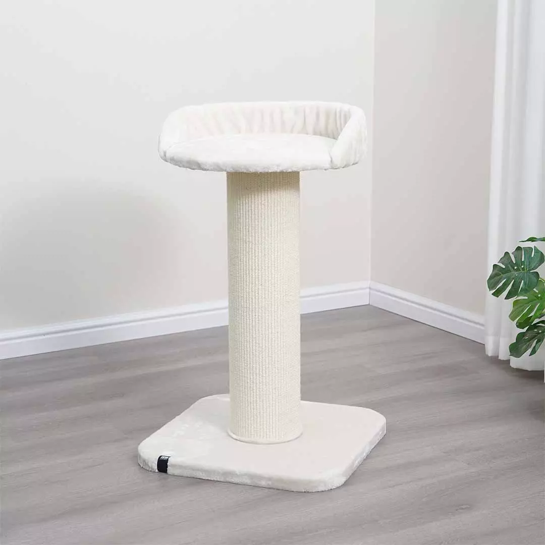 gallery-603-for-4047059483725