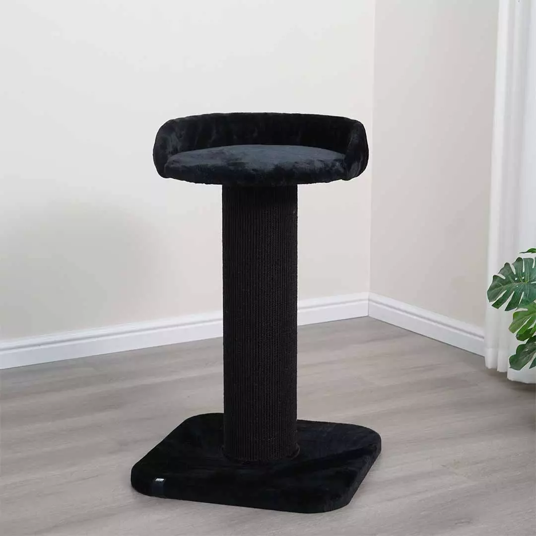 gallery-604-for-4047059483718