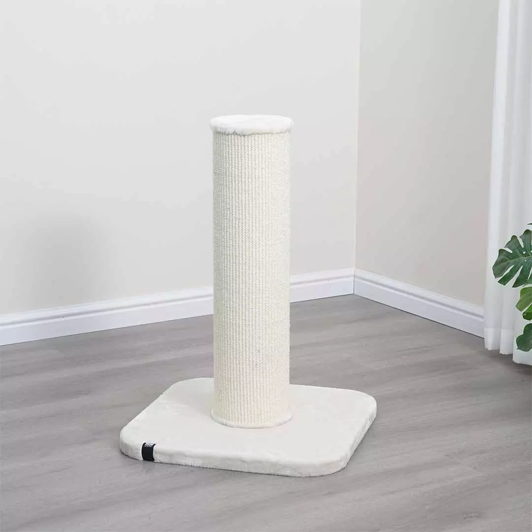 gallery-609-for-4047059483688