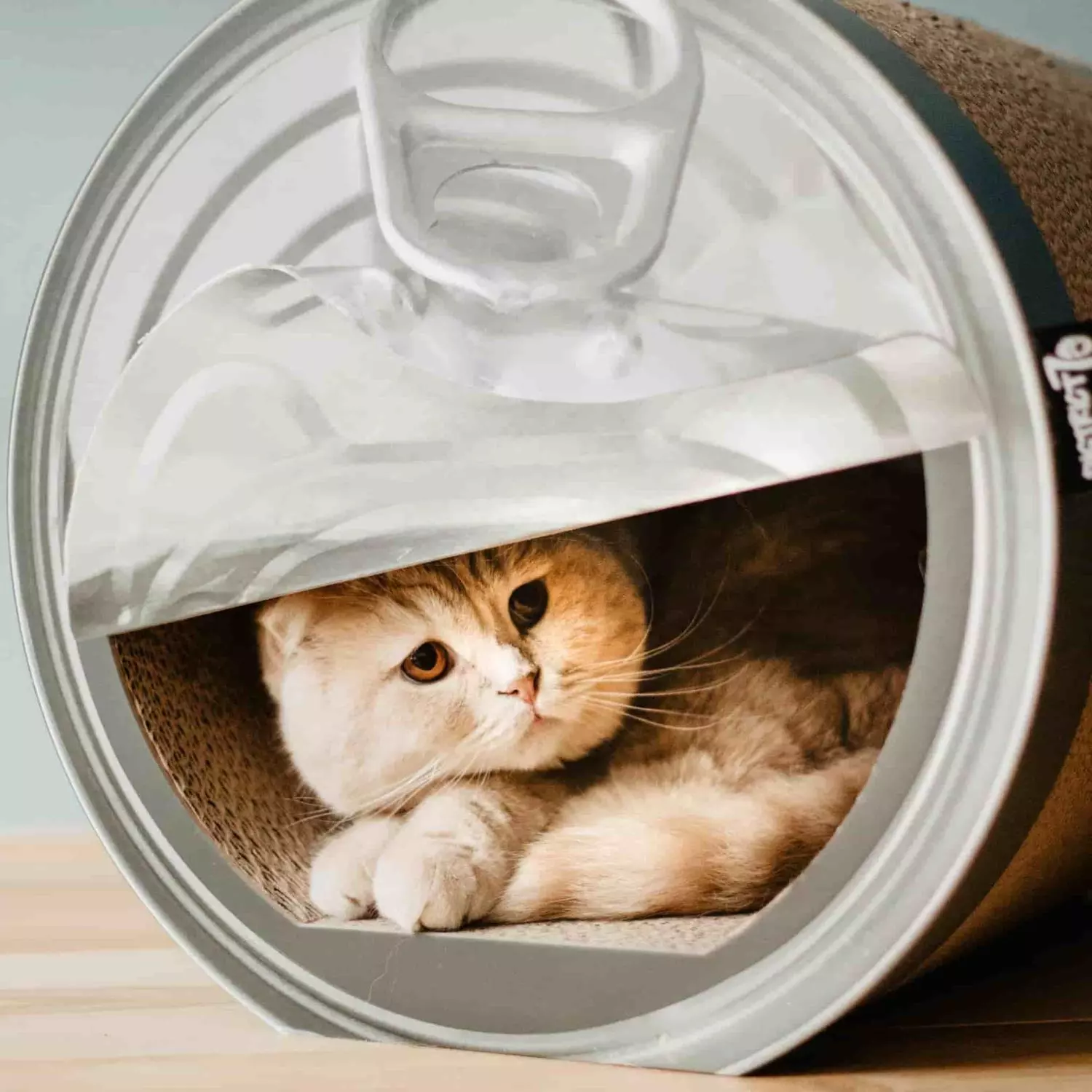 gallery-211-for-8717202613731