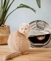 gallery-212-for-8717202613731