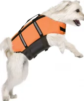 gallery-627-for-5400274920823