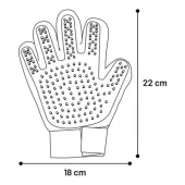 gallery-654-for-5411290326285