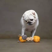 gallery-656-for-5400585282542