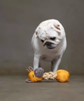 gallery-656-for-5400585282542