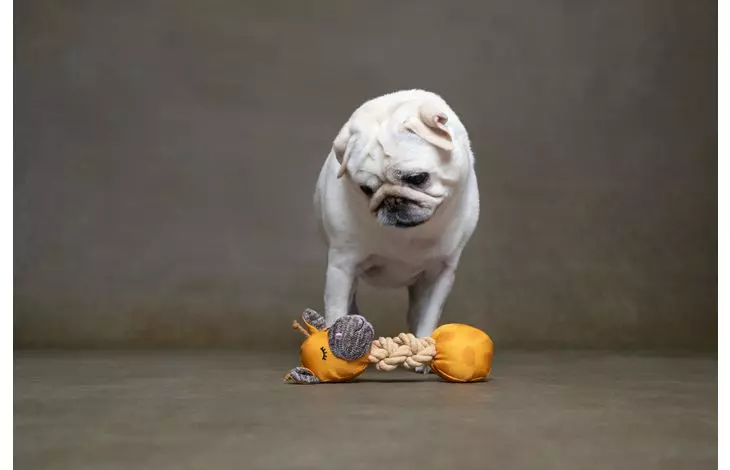 gallery-656-for-5400585282542