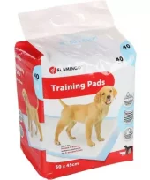 TRAINING PAD PADY M 40PCS 60x45CM