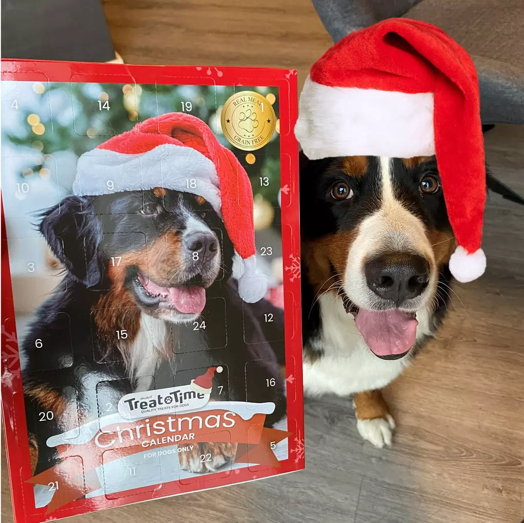 gallery-664-for-5714736004182