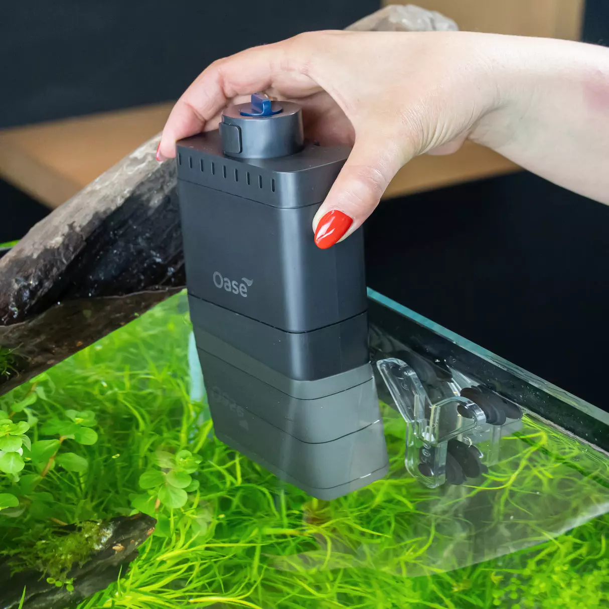 gallery-671-for-0198318000208