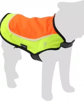 gallery-677-for-5400585349788