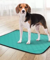 gallery-688-for-5400585192216