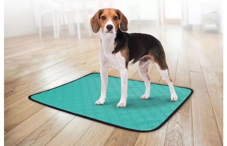 gallery-688-for-5400585192216