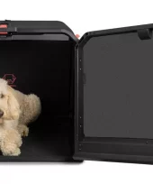 gallery-704-for-7649994348014