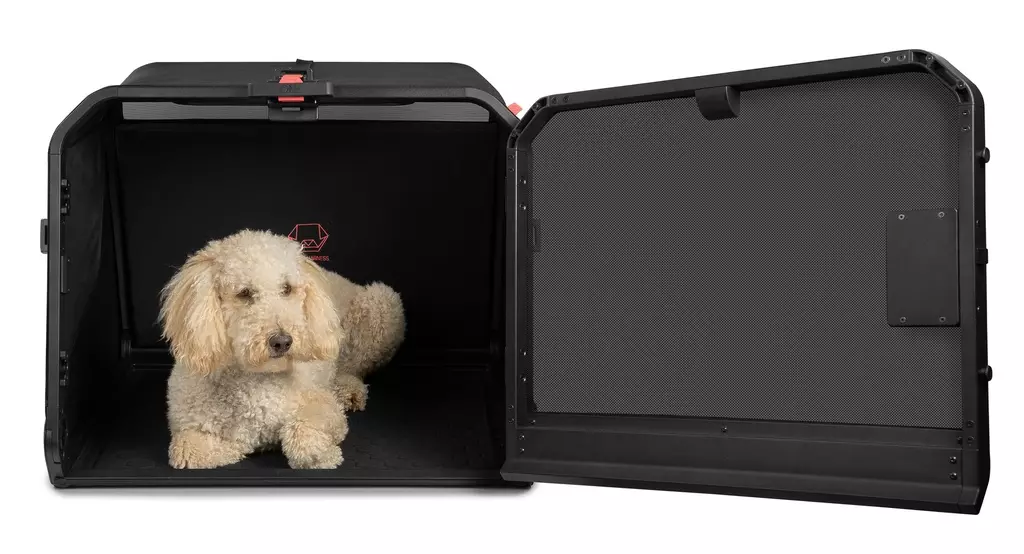 gallery-704-for-7649994348014