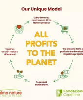 gallery-711-for-8001154001969