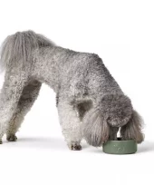 Hunter Bowl Osby 550 Ml Ceramic Khaki