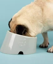 gallery-276-for-5060328823144