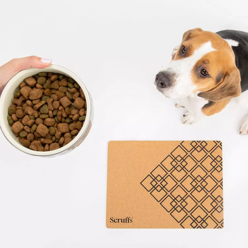 gallery-725-for-5060328825438