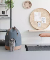 CASA Cognac kattehule. District 70