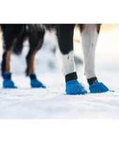 Non-Stop Long Distance Bootie, Blue, XL, 4Pk