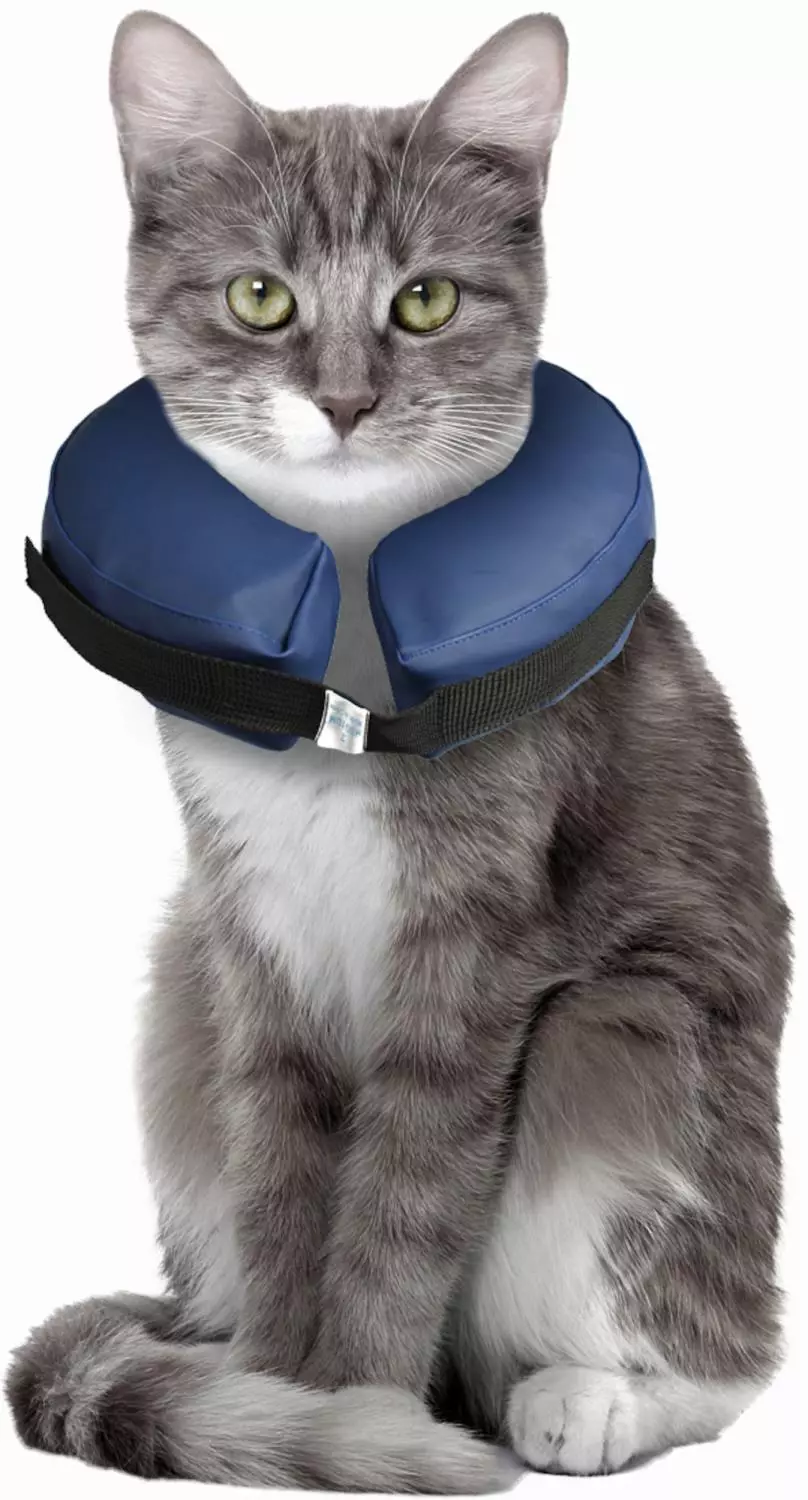 Halskrage til hunder, oppblåsbar XS