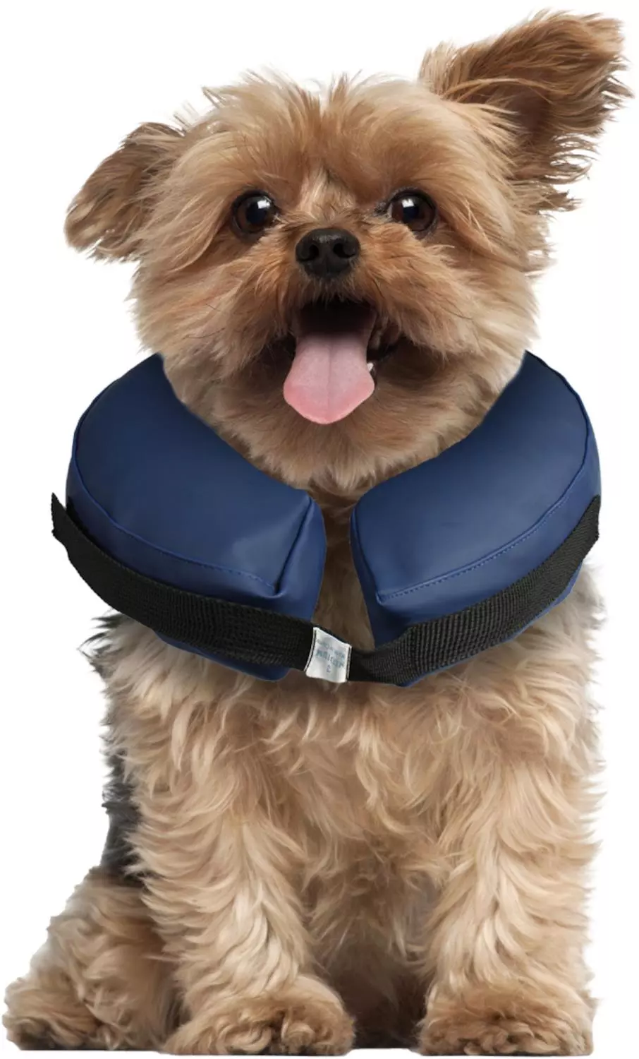 Halskrage til hunder, oppblåsbar M