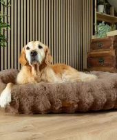 gallery-768-for-5060328829740