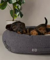 Scruffs Eco Eden hundeseng charcoal grey (Box Bed) (M) 75x60cm